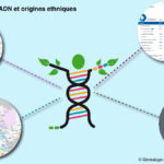 test adn origine