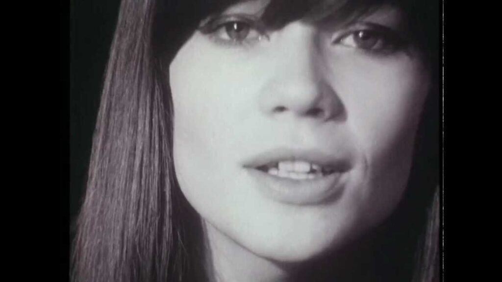françoise hardy mon amie la rose